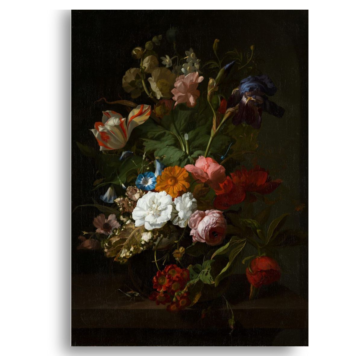 Shadows in Bloom